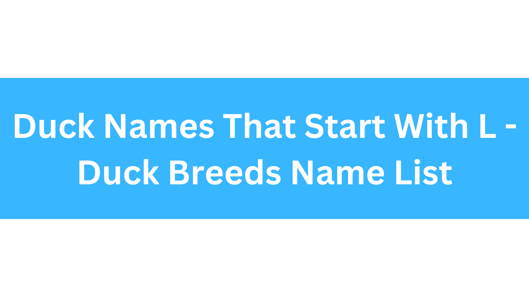 Duck Names That Start With L