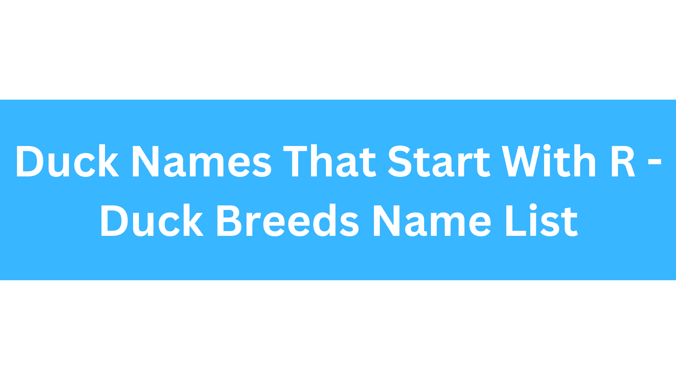 Duck Names That Start With R