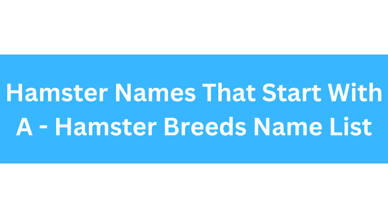 Hamster Names Starting With A