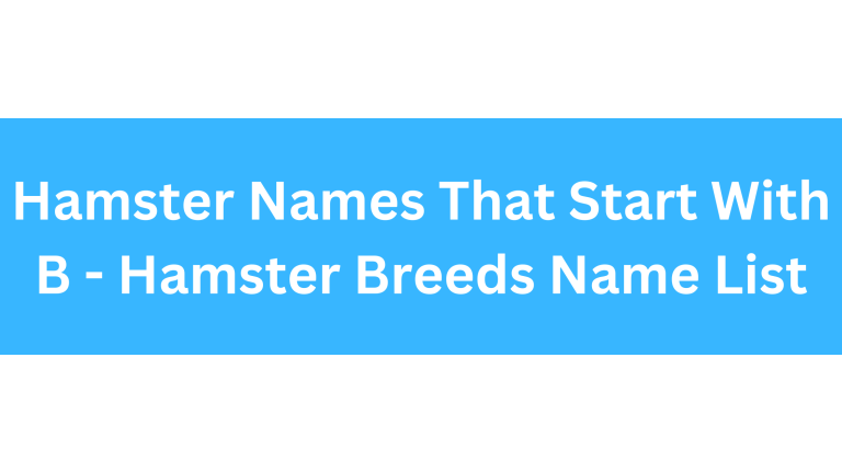 Hamster Names Starting With B