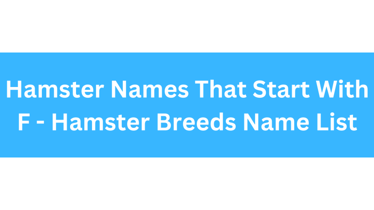 Hamster Names Starting With F