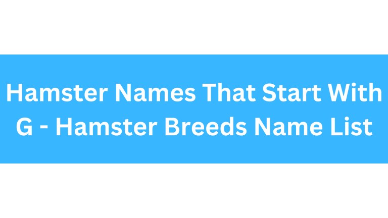 Hamster Names Starting With G