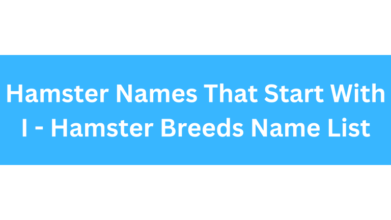 Hamster Names Starting With I