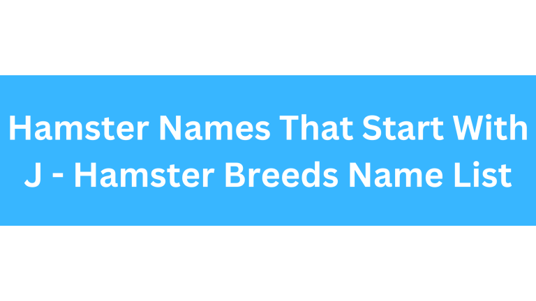 Hamster Names Starting With J