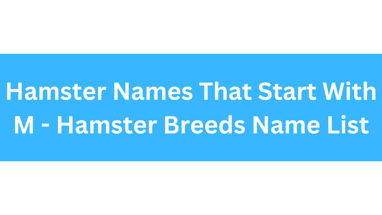 Hamster Names Starting With M