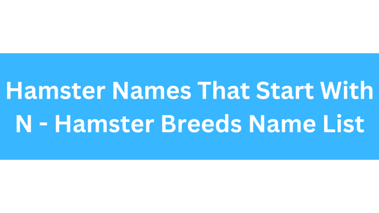 Hamster Names Starting With N