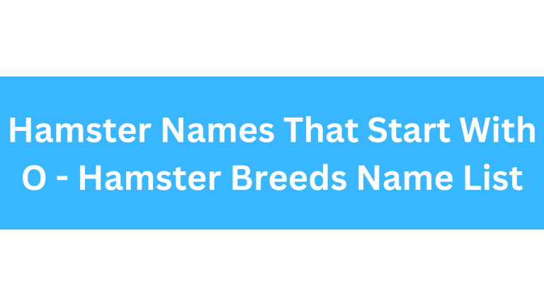 Hamster Names Starting With O