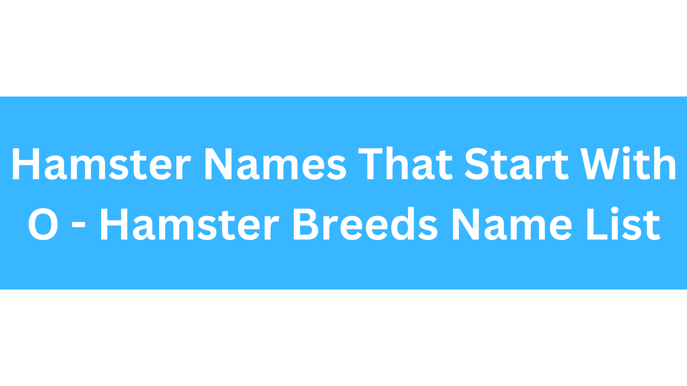 Hamster Names Starting With O