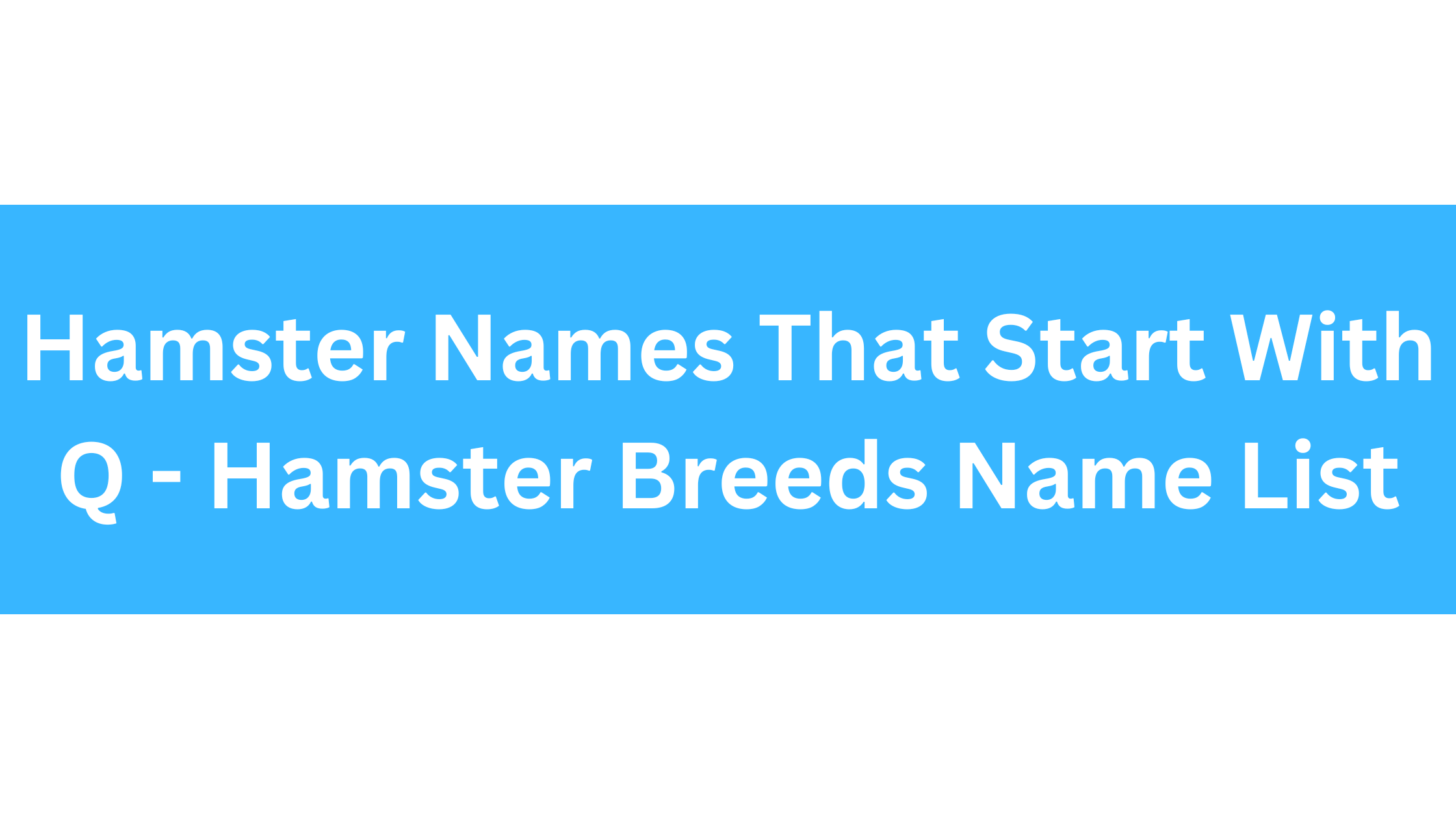 Hamster Names Starting With Q