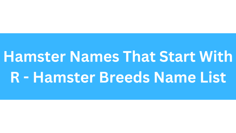 Hamster Names Starting With R