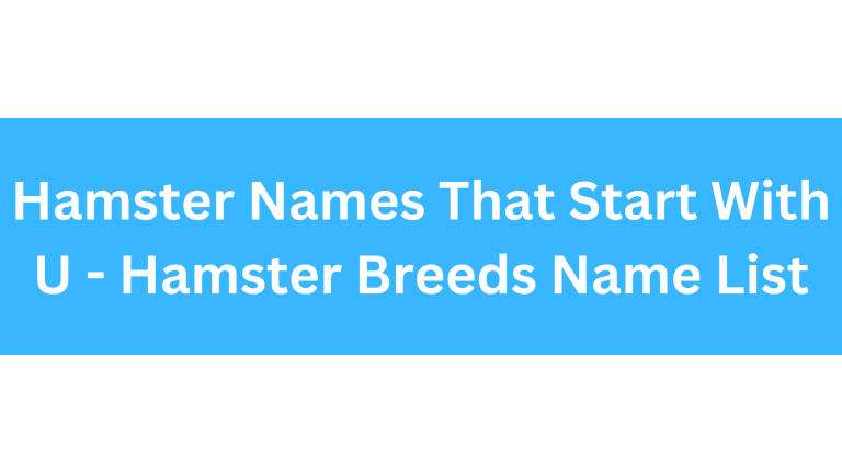Hamster Names Starting With U