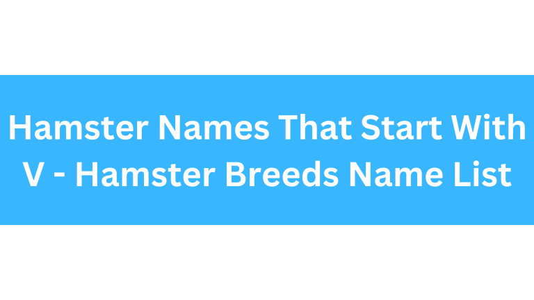 Hamster Names Starting With V