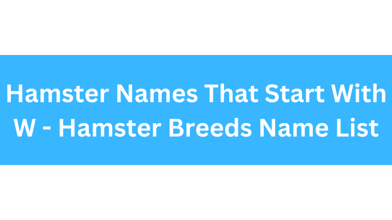 Hamster Names Starting With W