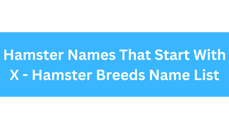 Hamster Names Starting With X