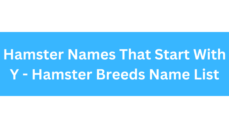 Hamster Names Starting With Y