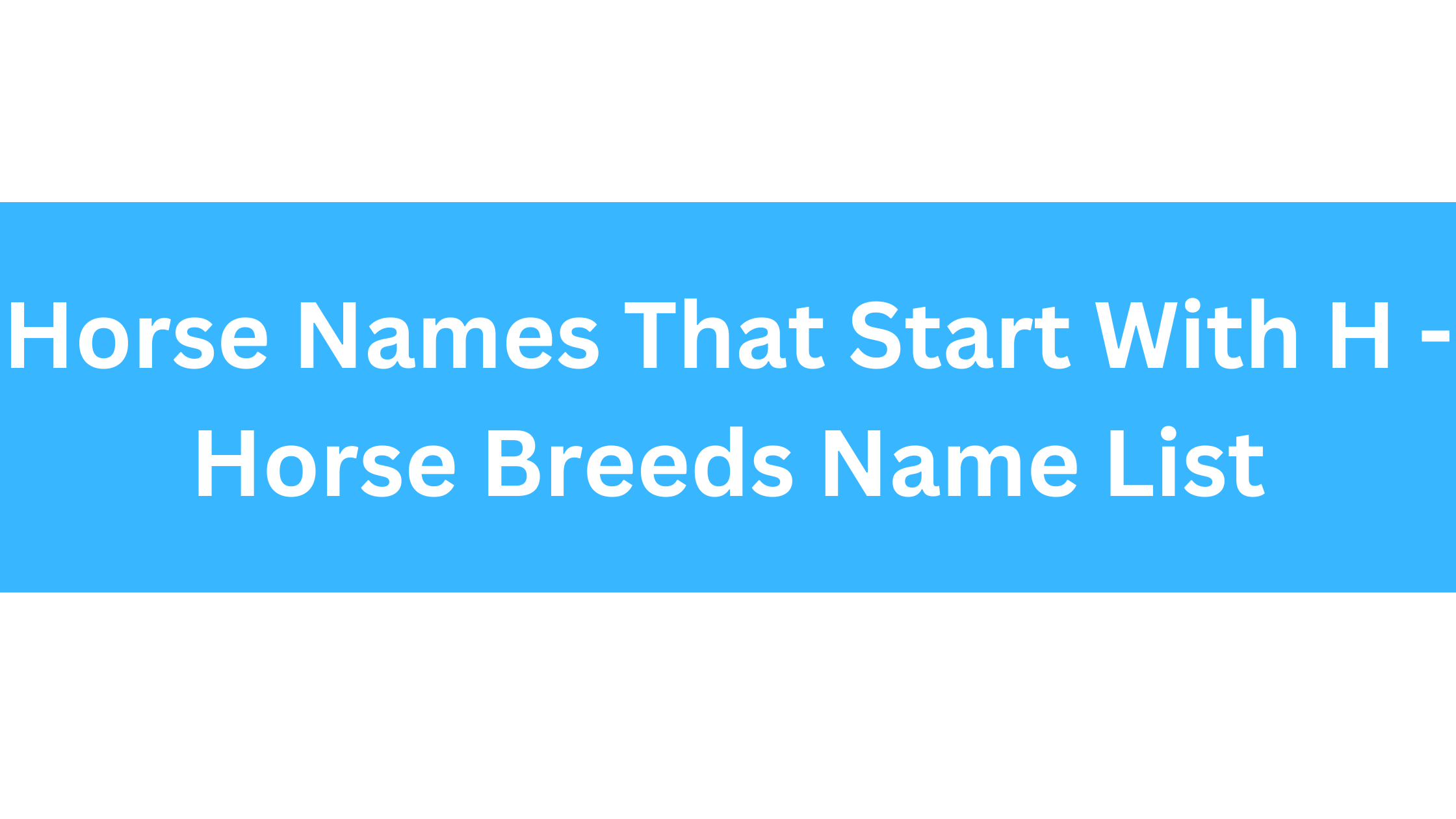 Horse Names Starting With H