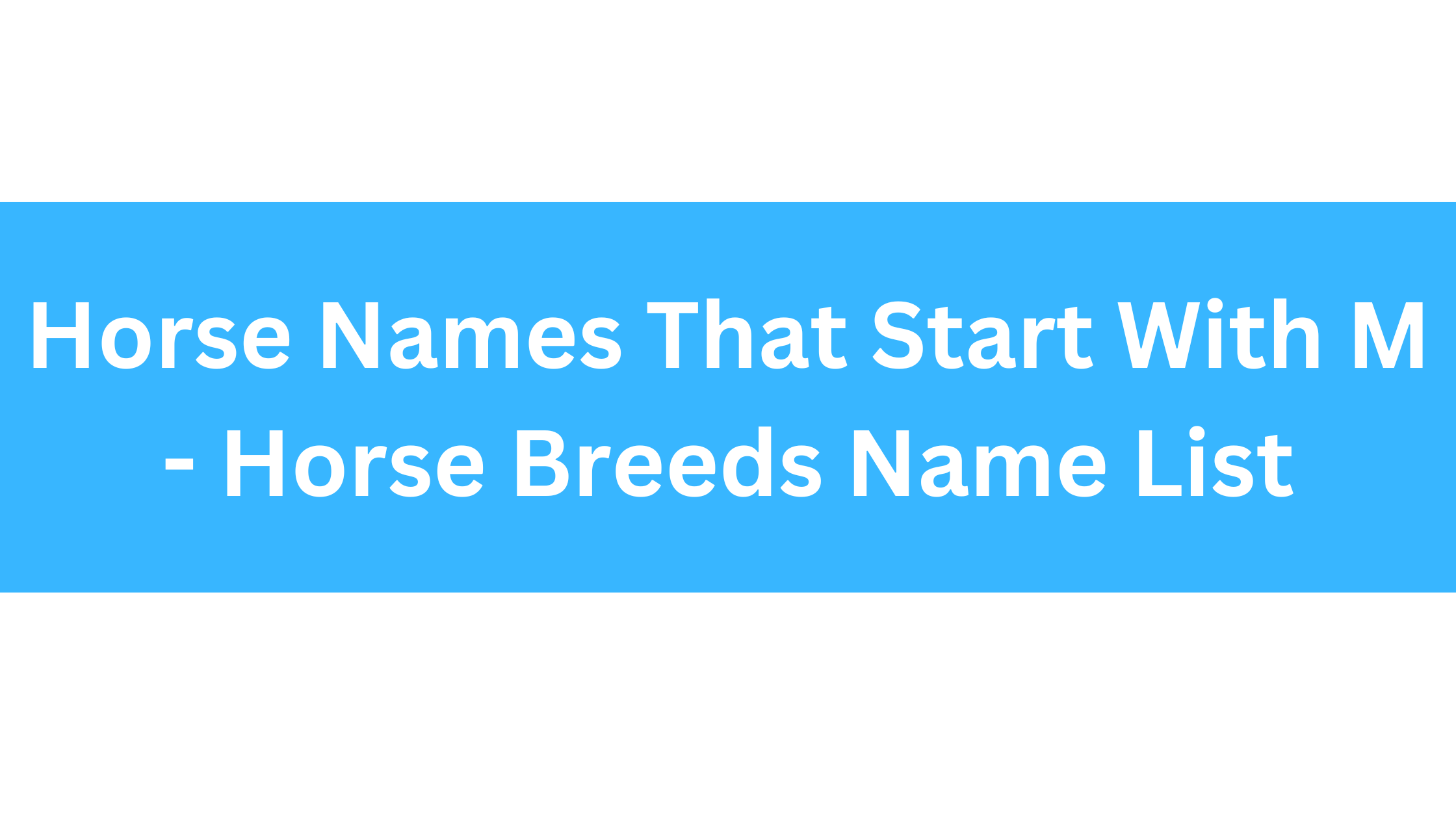 Horse Names Starting With M