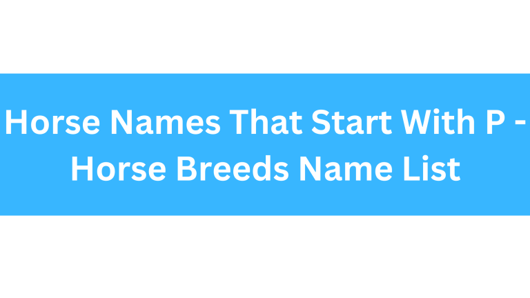 Horse Names Starting With P