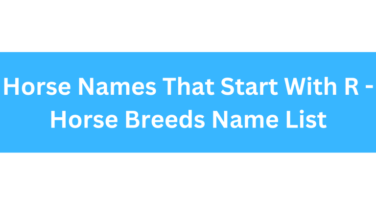 Horse Names Starting With R