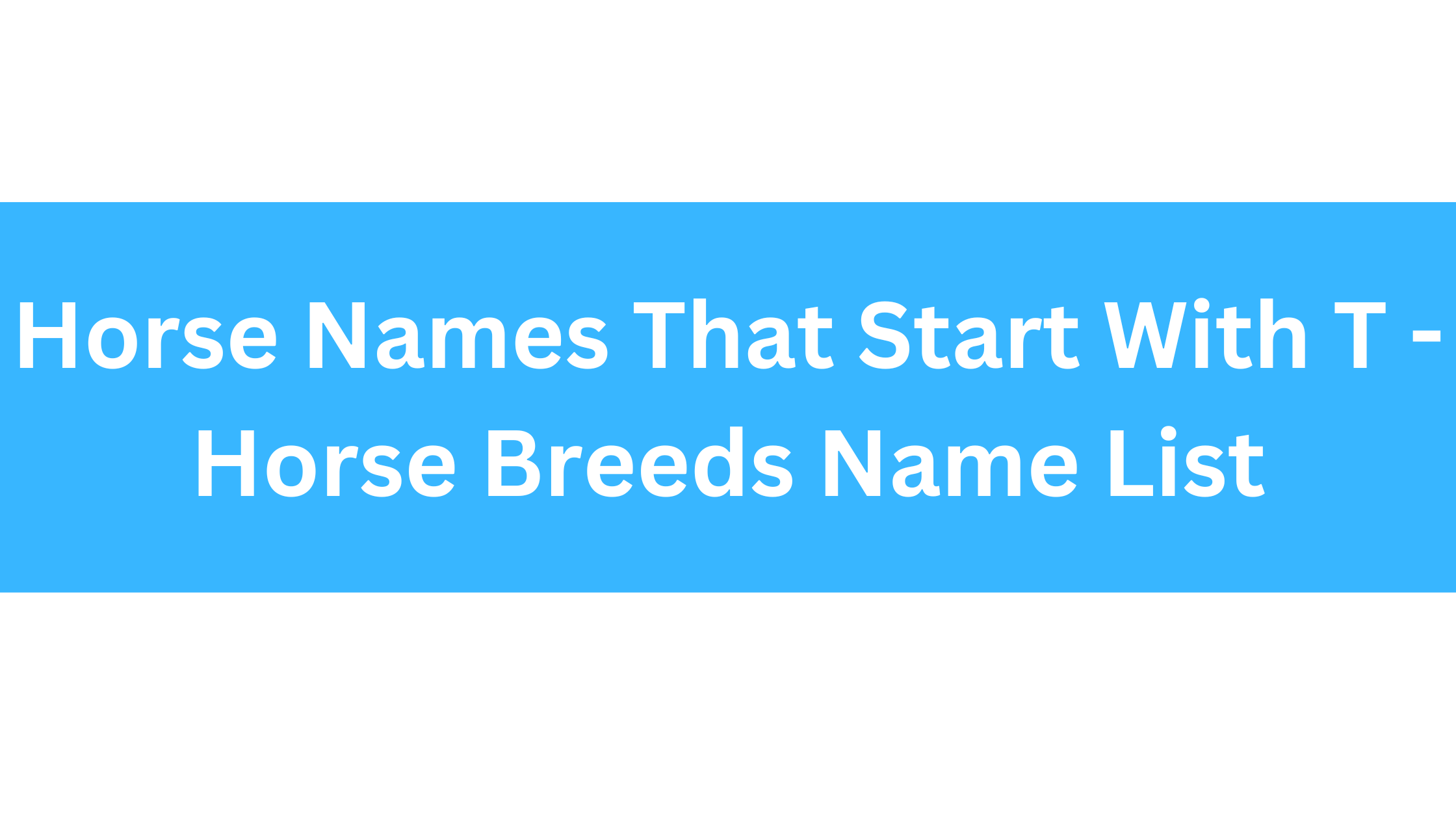 Horse Names Starting With T