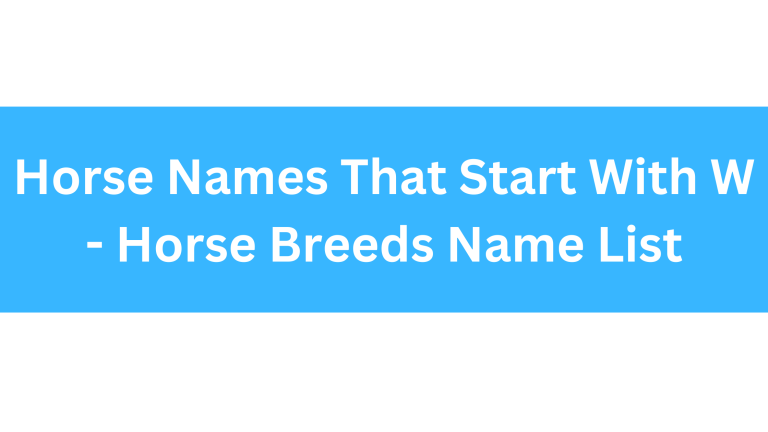 Horse Names Starting With W