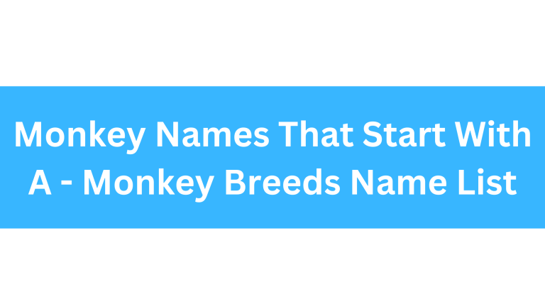 Monkeys That Start With A