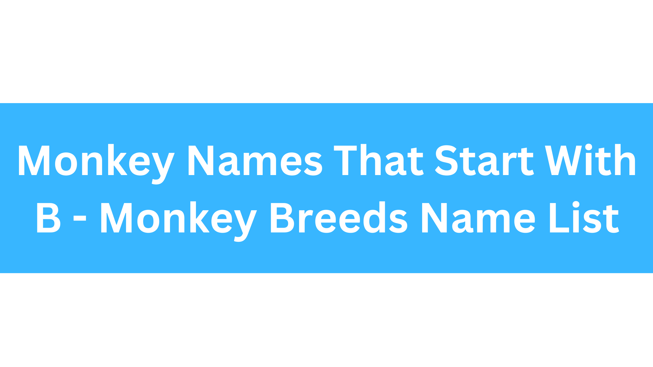 Monkeys That Start With B