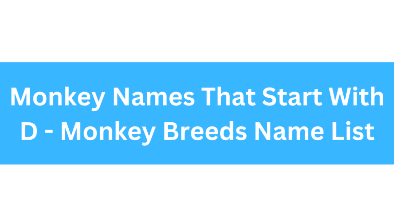 Monkeys That Start With D