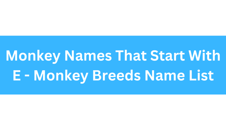 Monkeys That Start With E