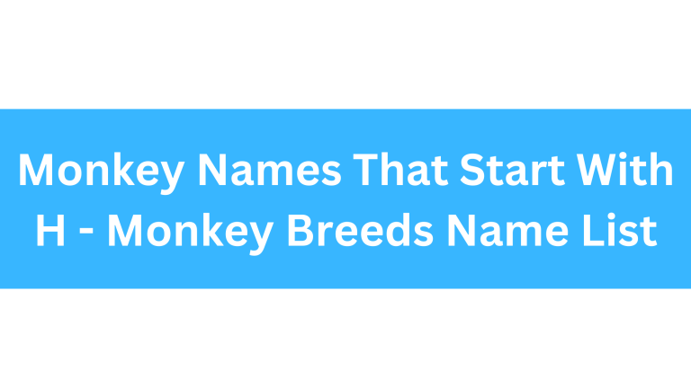 Monkeys That Start With H