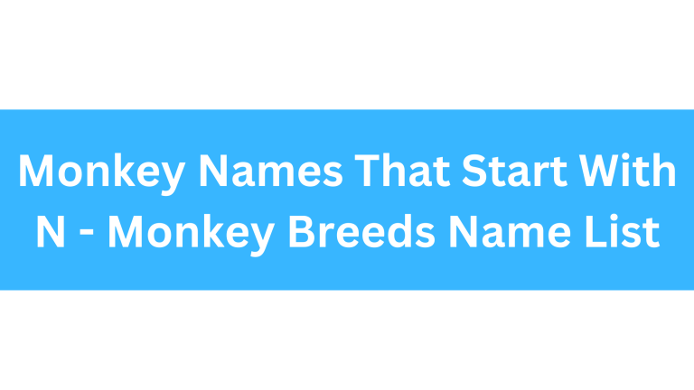 Monkeys That Start With N