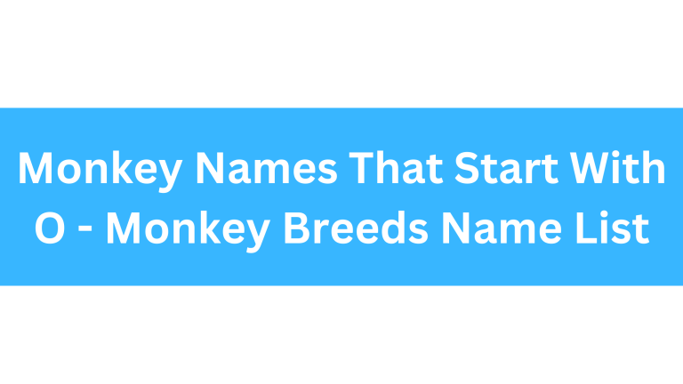 Monkeys That Start With O