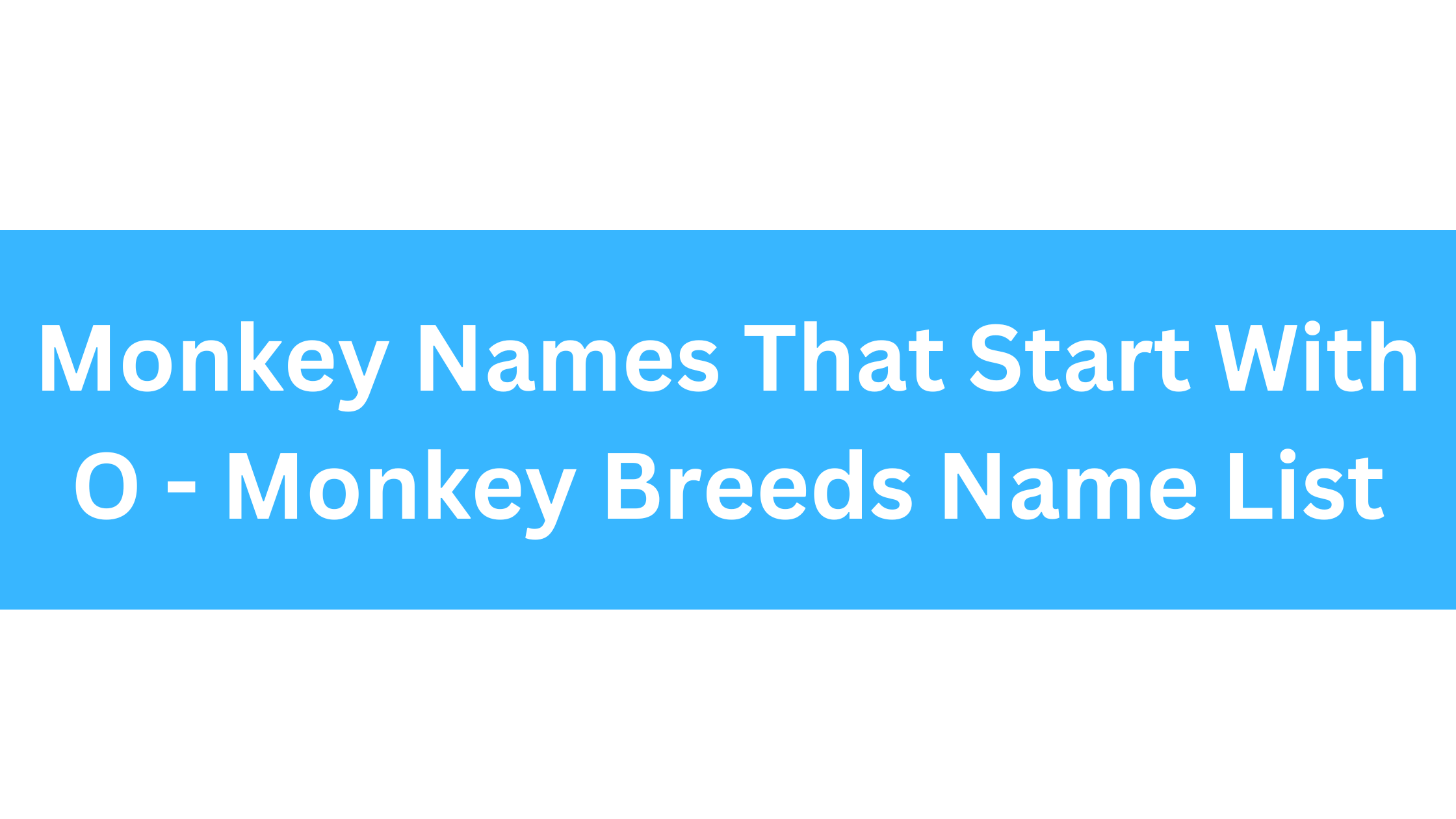 Monkeys That Start With O