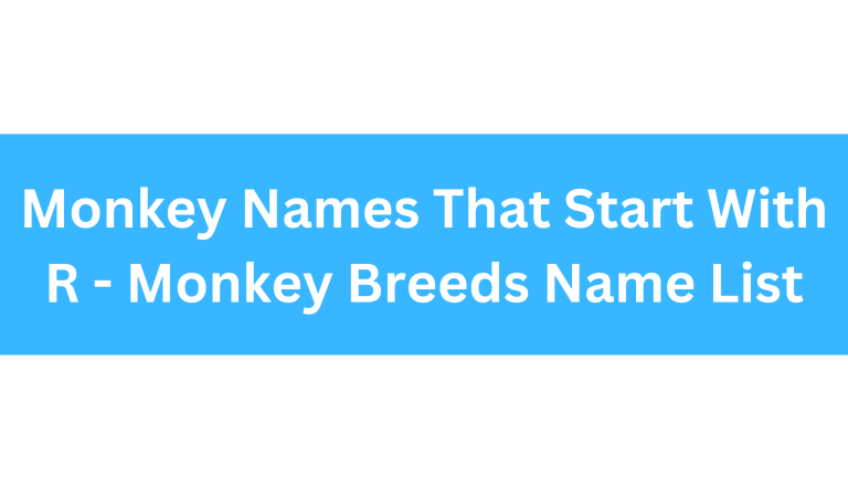 Monkeys That Start With R