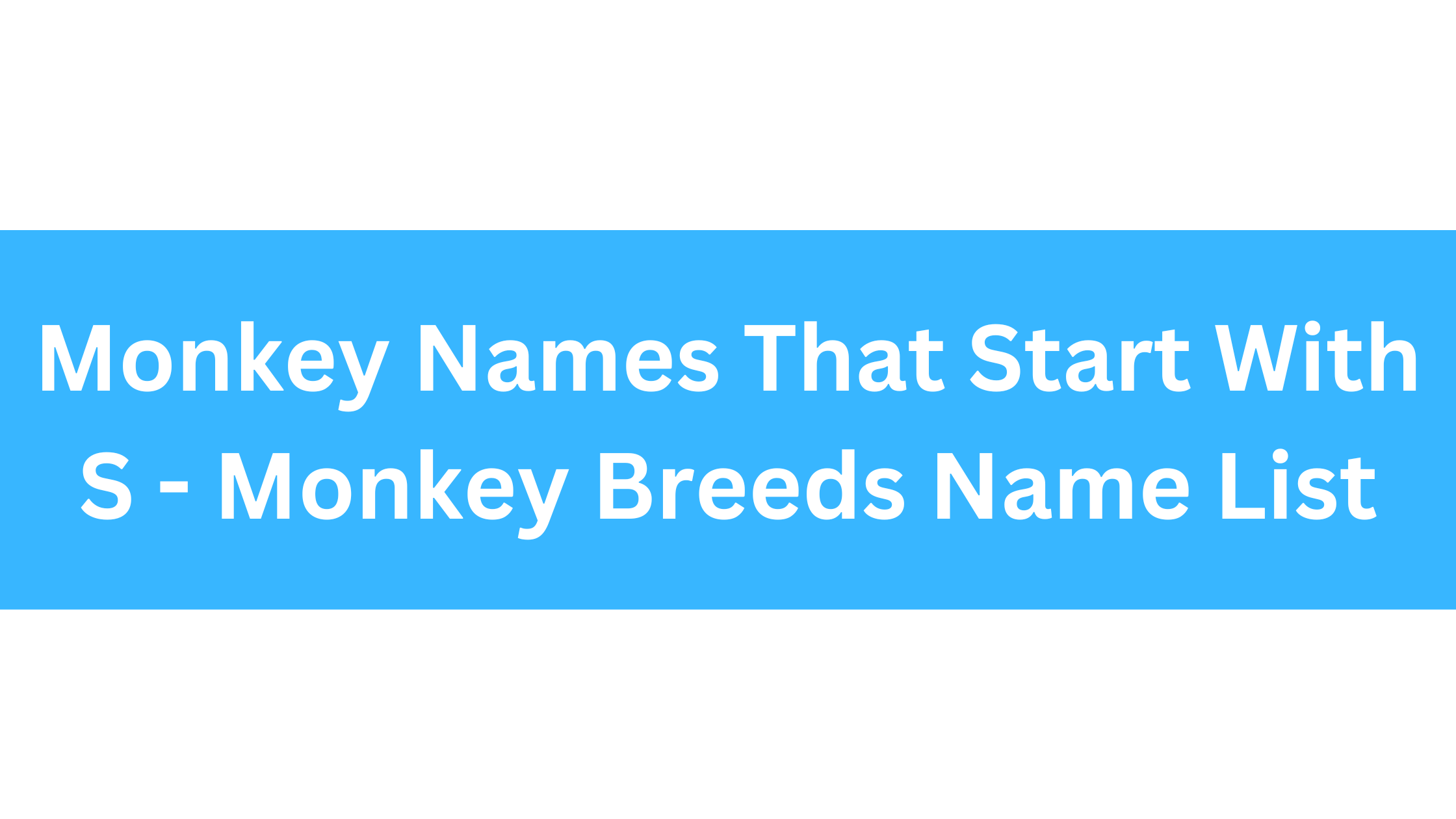 Monkeys That Start With S