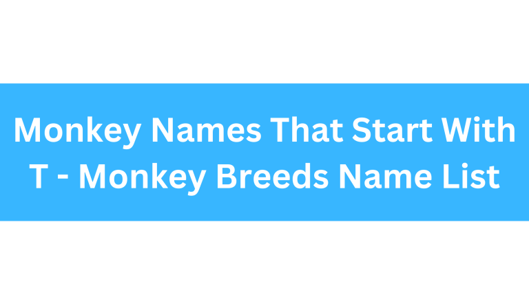 Monkeys That Start With T