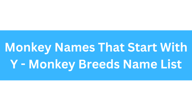 Monkeys That Start With Y