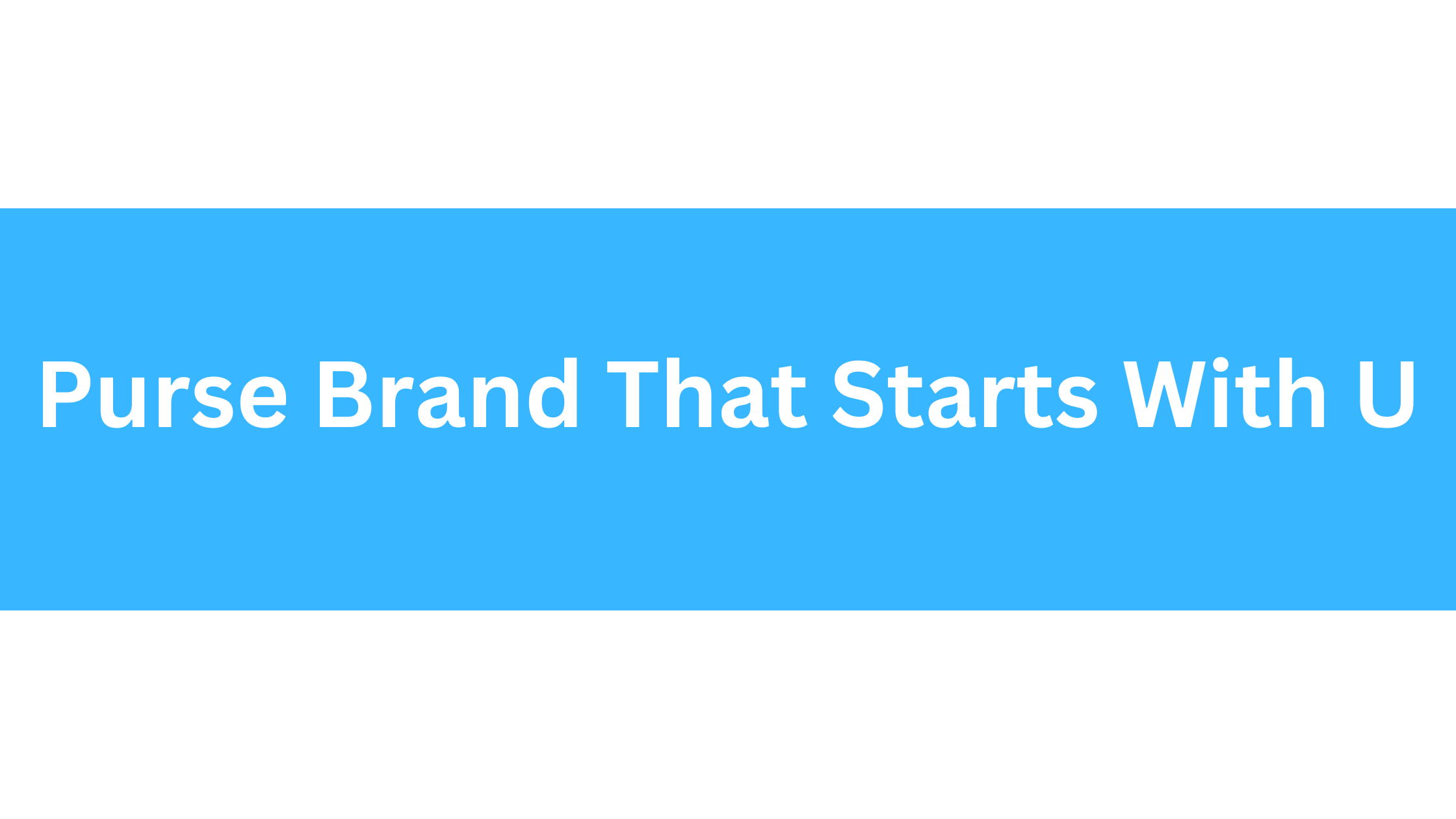 Purse Brand That Starts With U