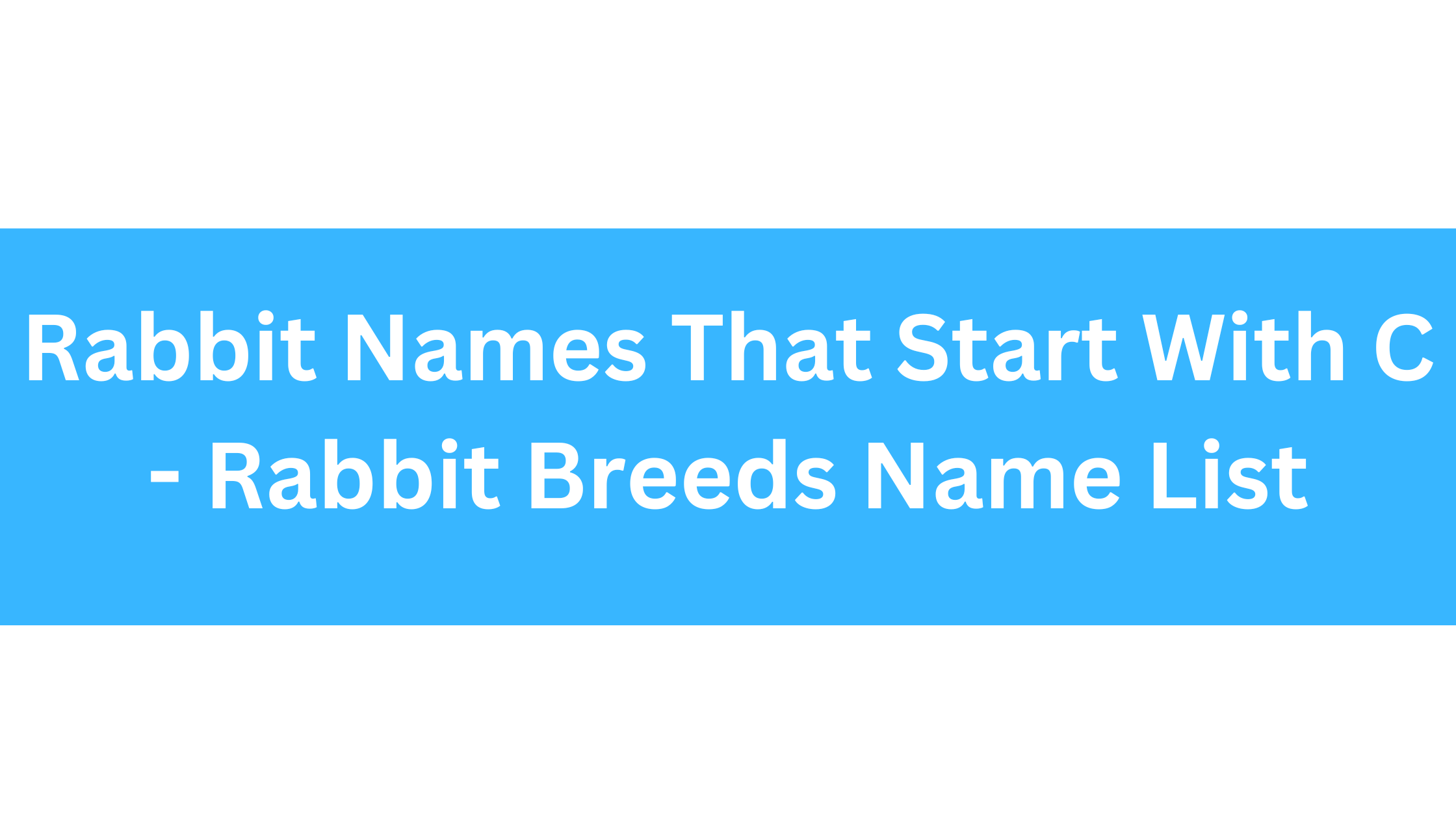 Rabbit Names Beginning With C
