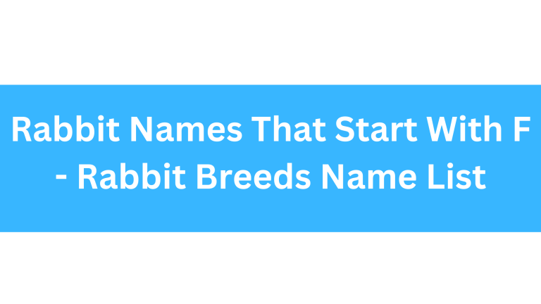 Rabbit Names Beginning With F