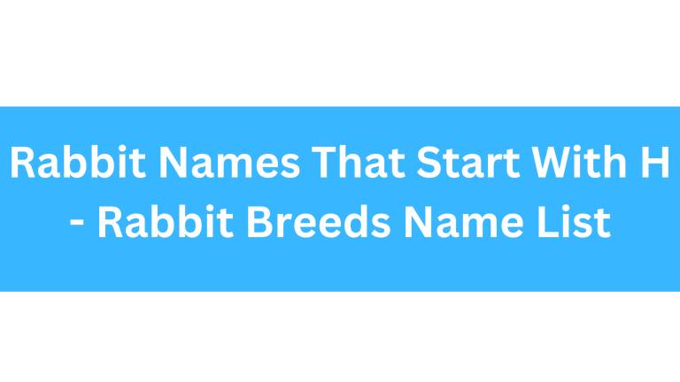 Rabbit Names Beginning With H