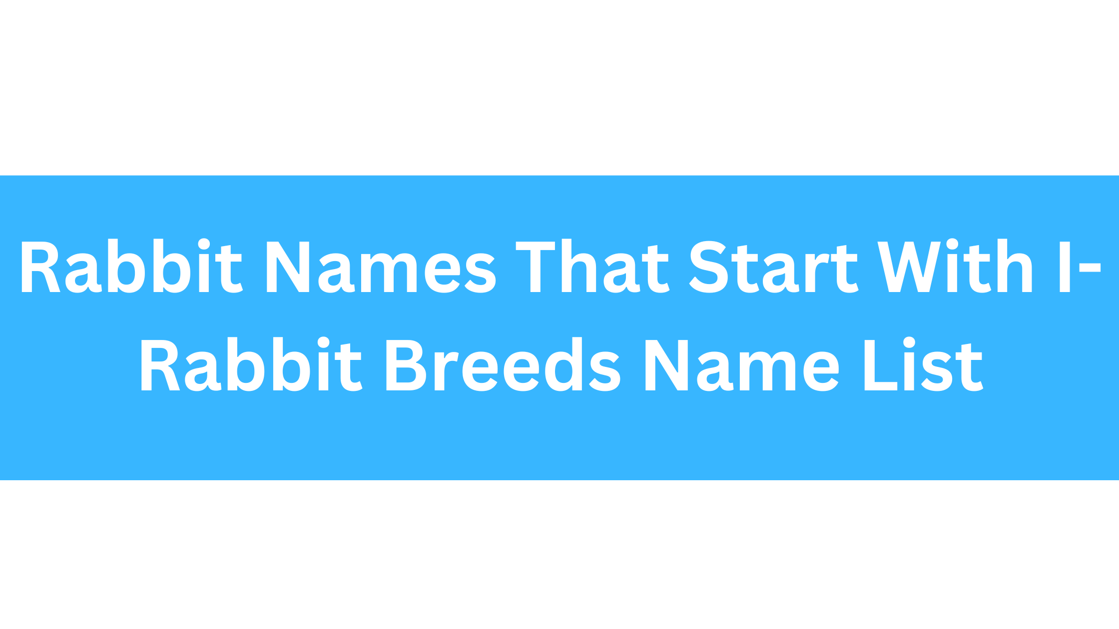 Rabbit Names Beginning With I