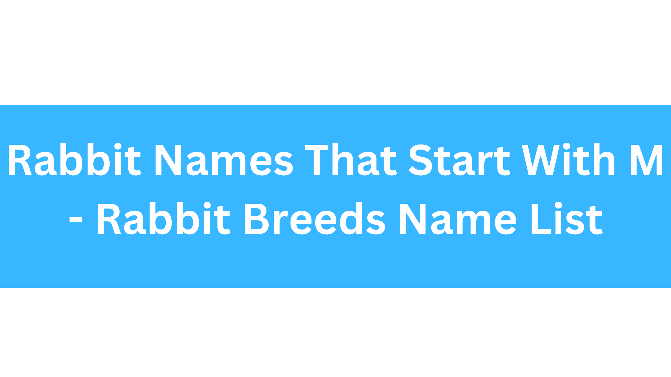 Rabbit Names Beginning With M
