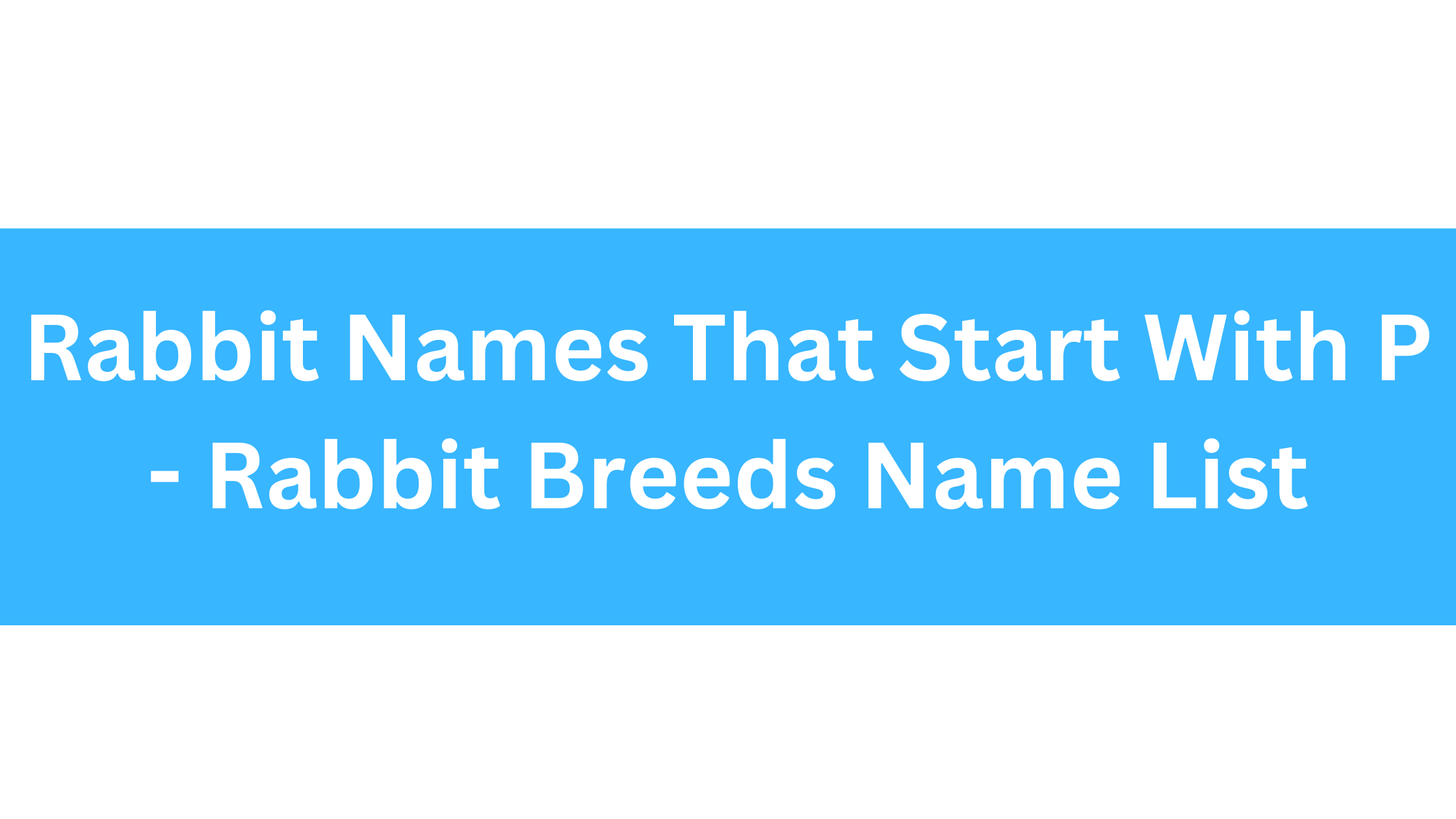 Rabbit Names Beginning With P