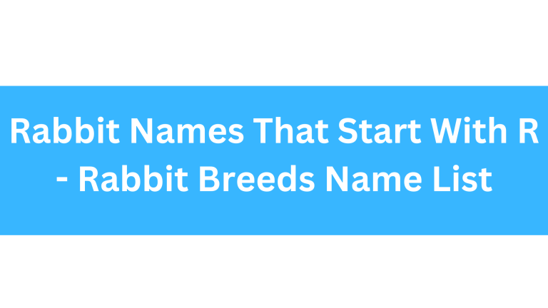 Rabbit Names Beginning With R