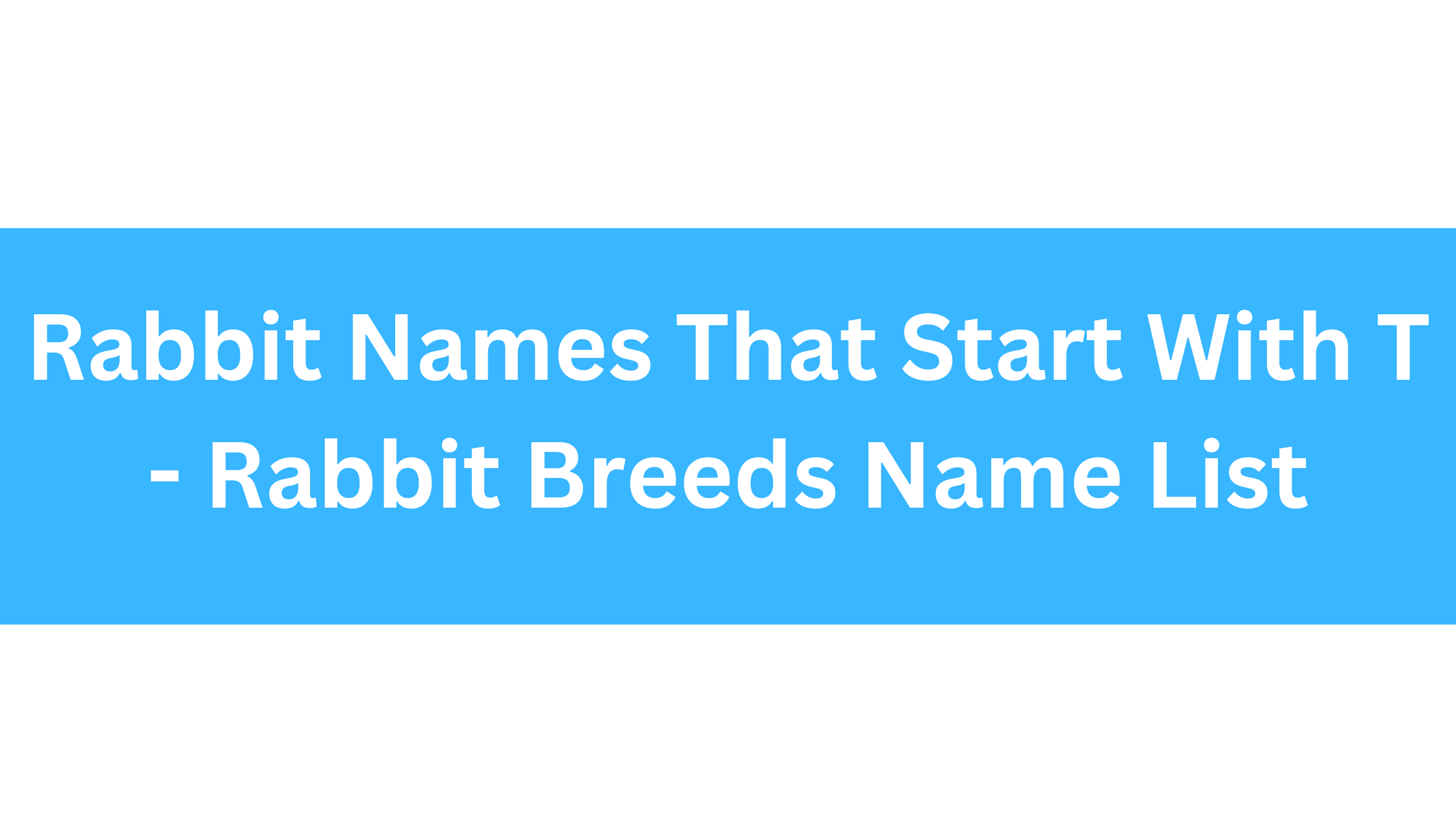 Rabbit Names Beginning With T
