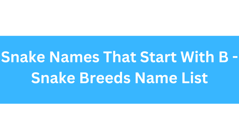 Snake Names Beginning With B