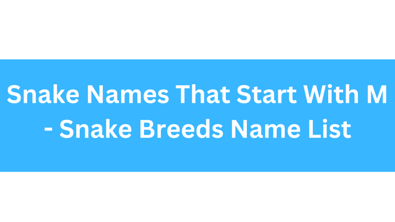 Snake Names Beginning With M