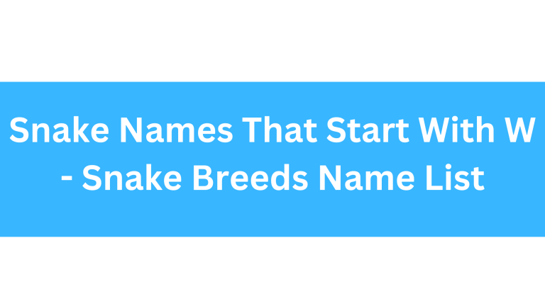Snake Names Beginning With W