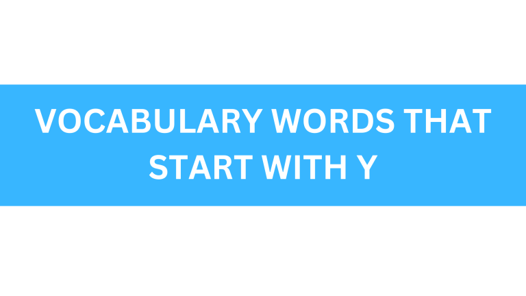 Vocabulary Words That Start With Y